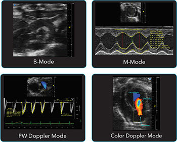 Vevo F2 LT Imaging Modes