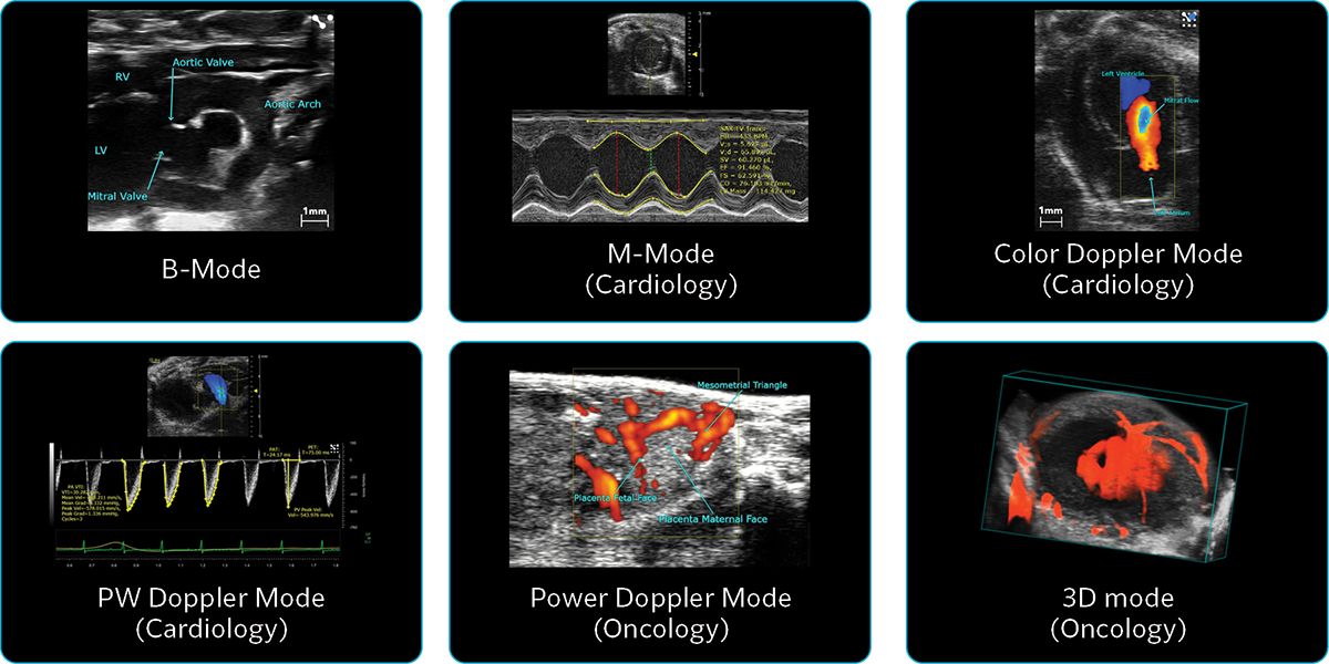 Vevo F2 LT Imaging Modes