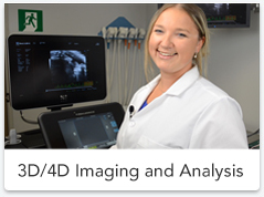 3D4D Imaging Analysis.jpg