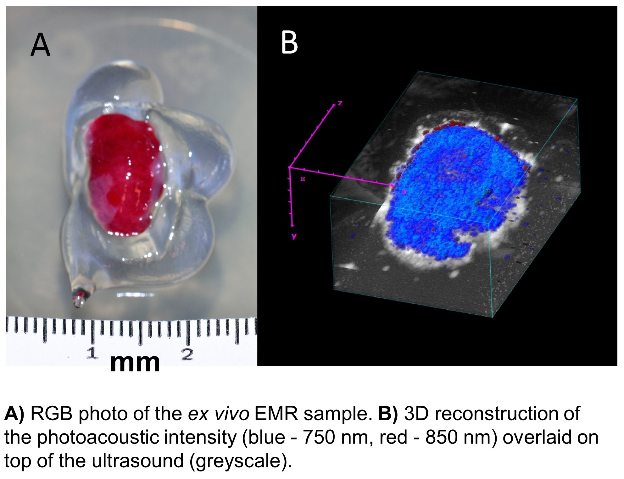 Figure1.JPG