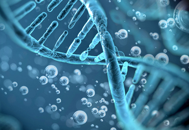 Molecular DNA with bubbles (5 by 3 inches).jpg