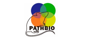 Pathbiosm.png