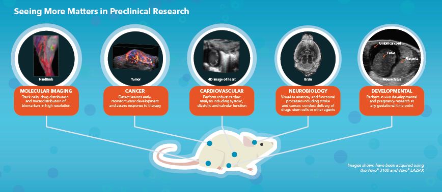 Preclinical applications.JPG