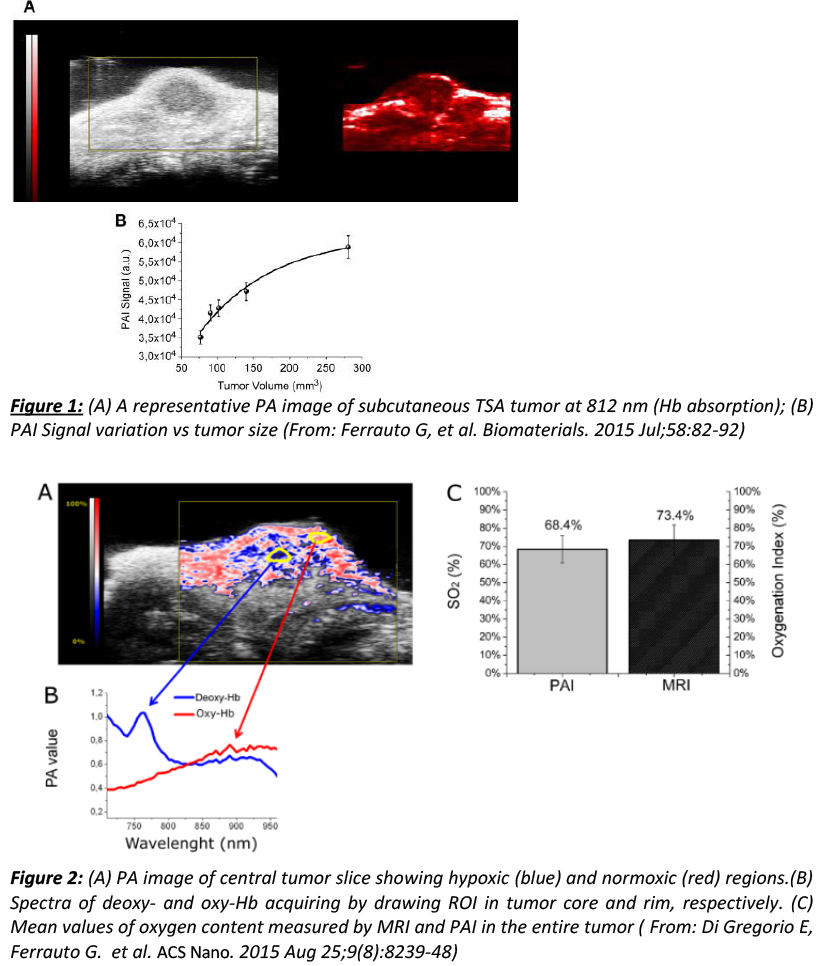 SYS-Image1.jpg