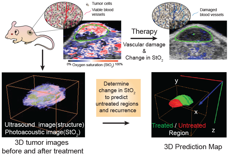 Theranostics.png