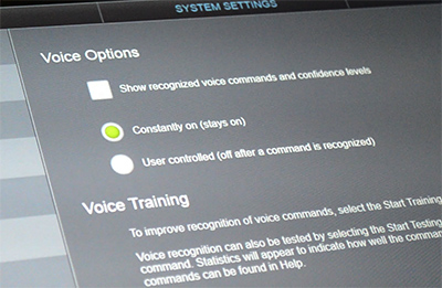 Vevo Voice Options.jpg