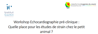 Workshop Echocardiographie