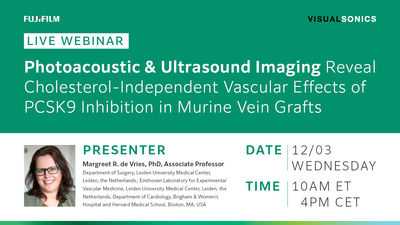 Photoacoustic and Ultrasound Imaging Reveal Cholesterol-Independent Vascular Effects of PCSK9 Inhibition in Murine Vein Grafts