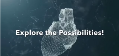 ultrasound for cardiovascular research