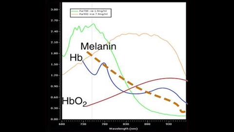 Spectral fingerprints showing quantification