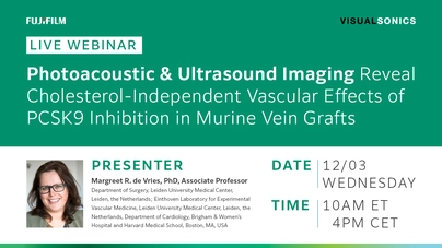Photoacoustic and Ultrasound Imaging Reveal Cholesterol-Independent Vascular Effects of PCSK9 Inhibition in Murine Vein Grafts