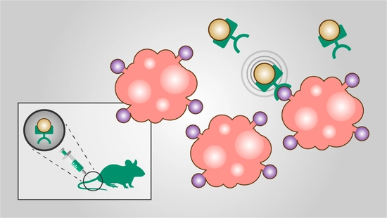 Theranostics uses specialized agents that are created and targeted to a specific ligand on a diseased cell. They are injected intravenously and travel to the desired location. Theranostics uses specialized agents that are created and targeted to a specific ligand on a diseased cell. They are injected intravenously and travel to the desired location.