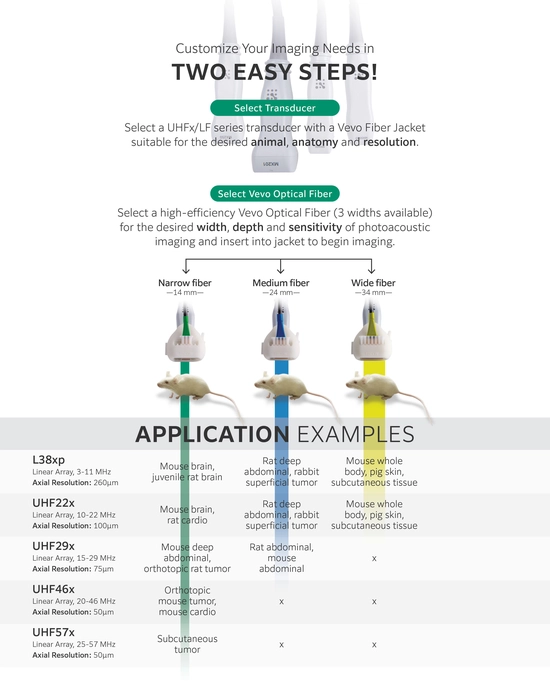 Vevo F2 LAZR-X20 Vevo Optical Fibers Information, to download the full PDF, please look under our Essential Links