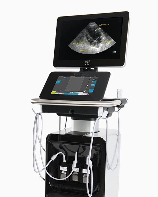 Vevo F2 LT
