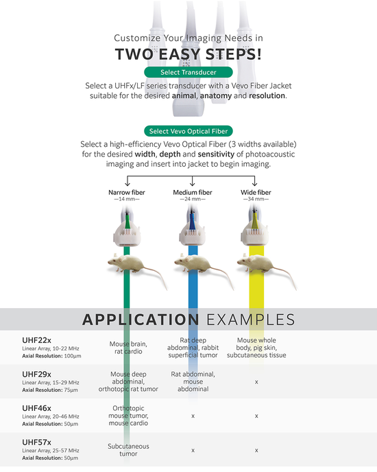 Vevo LAZR-X20 Vevo Optical Fibers Information, to download the full PDF, please look under our Essential Links
