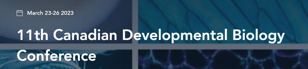 CBDC Logo