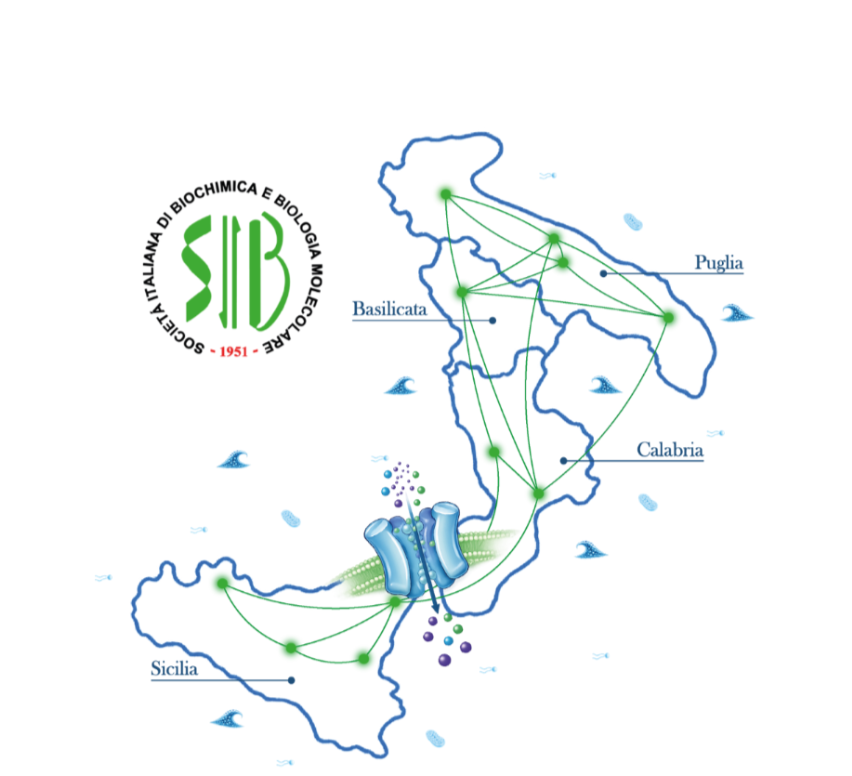 SIB Banner