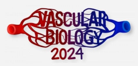 VB 2024